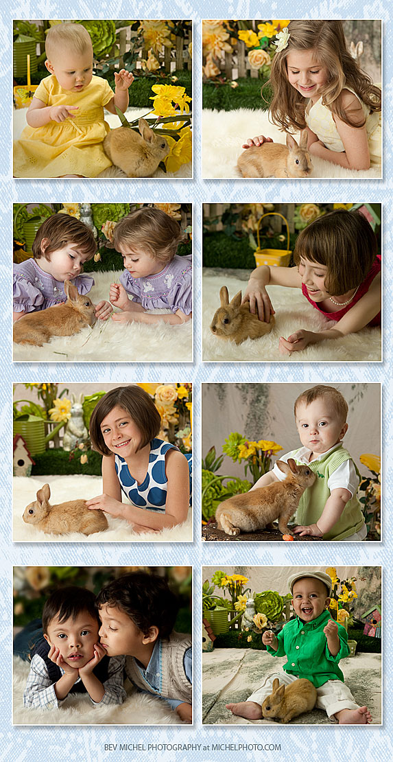 springblog20091