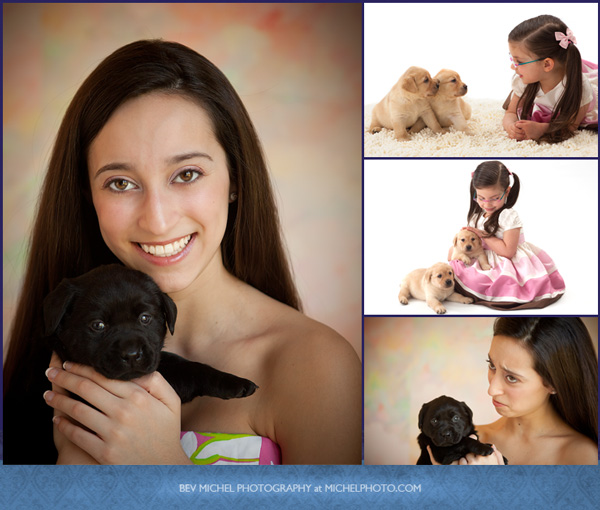 11E puppy