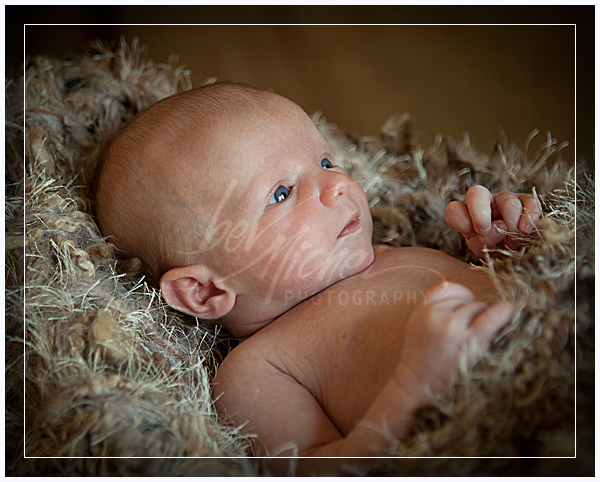 wpid5701-1_035_Pfaff.jpg Newborn Portrait
