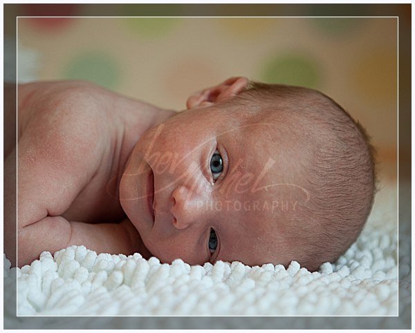wpid5705-1_071_Pfaff.jpg Newborn Portrait
