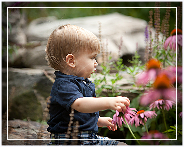 wpid5785-097_3_Brannen.jpg Baby Portrait