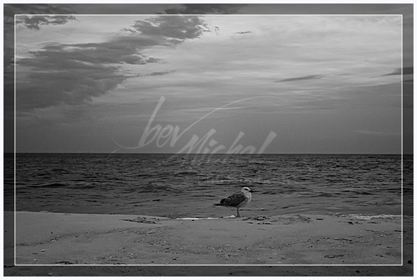 wpid8115-MG_8467.jpg beach photography
