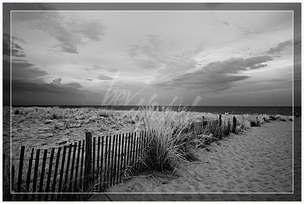 wpid8117-MG_8495.jpg beach photography