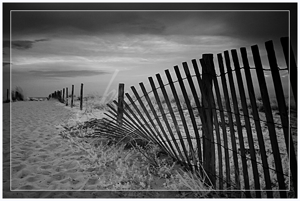 wpid8119-MG_8518.jpg beach photography