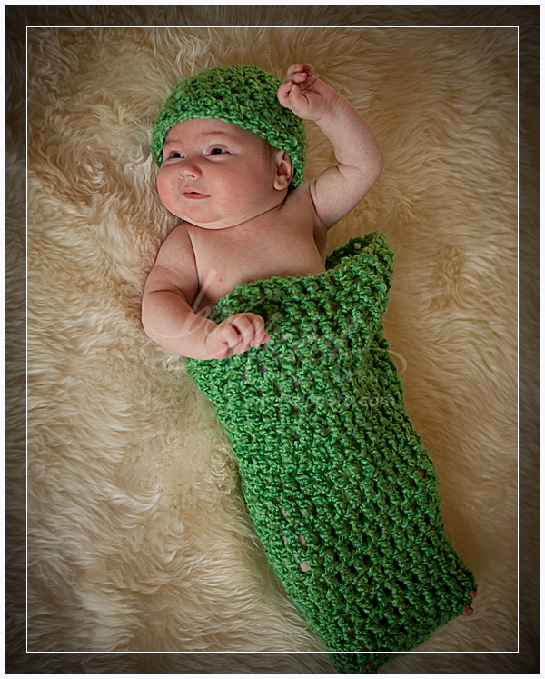 wpid10048-066_Paradee.jpg Baby Portrait