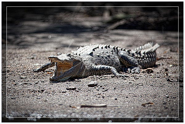 wpid10239-MG_1193-Edit.jpg