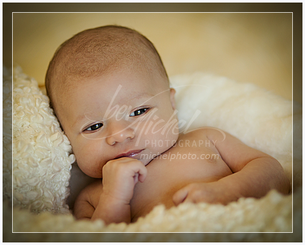 wpid10636-112_Silicato-Edit.jpg